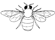 www.HoneyExpress.ca