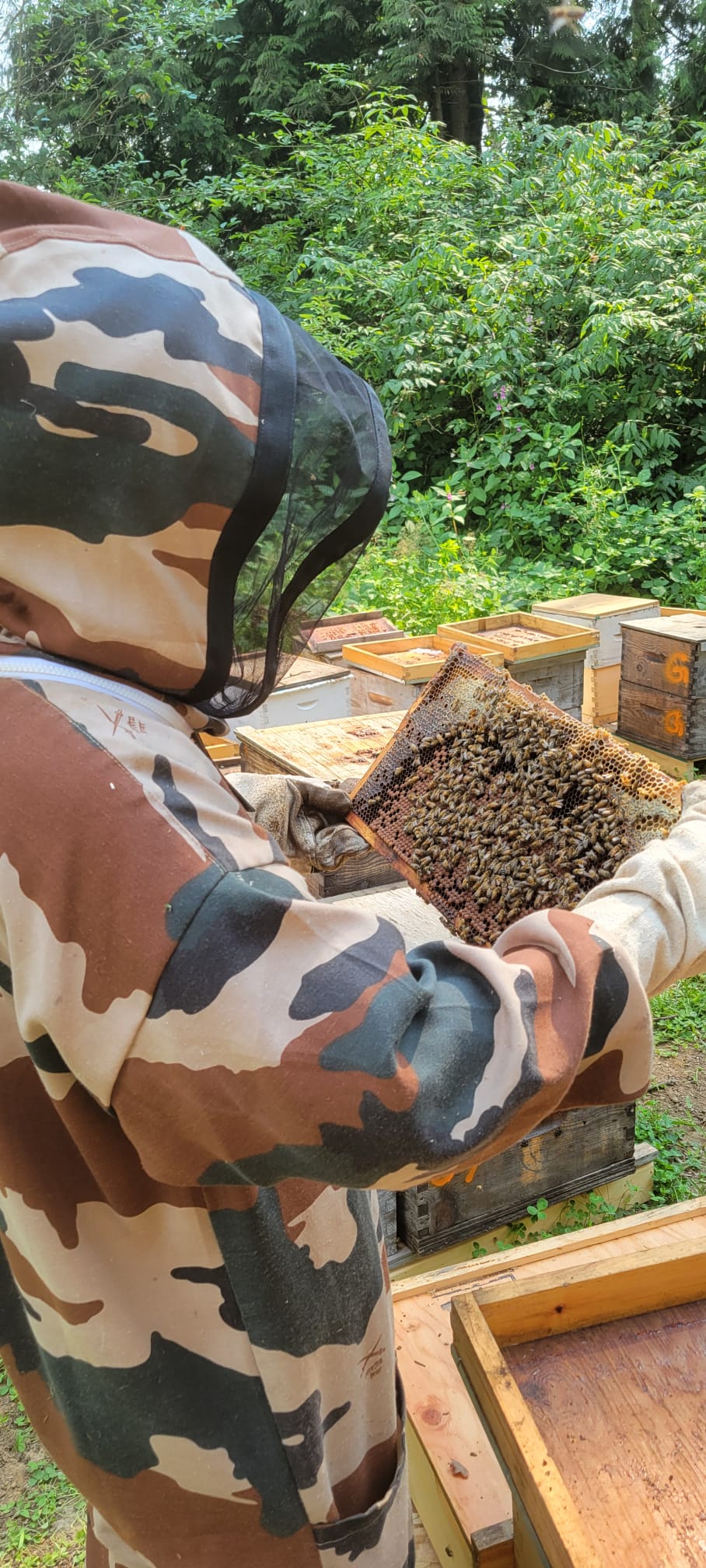www.HoneyExpress.ca