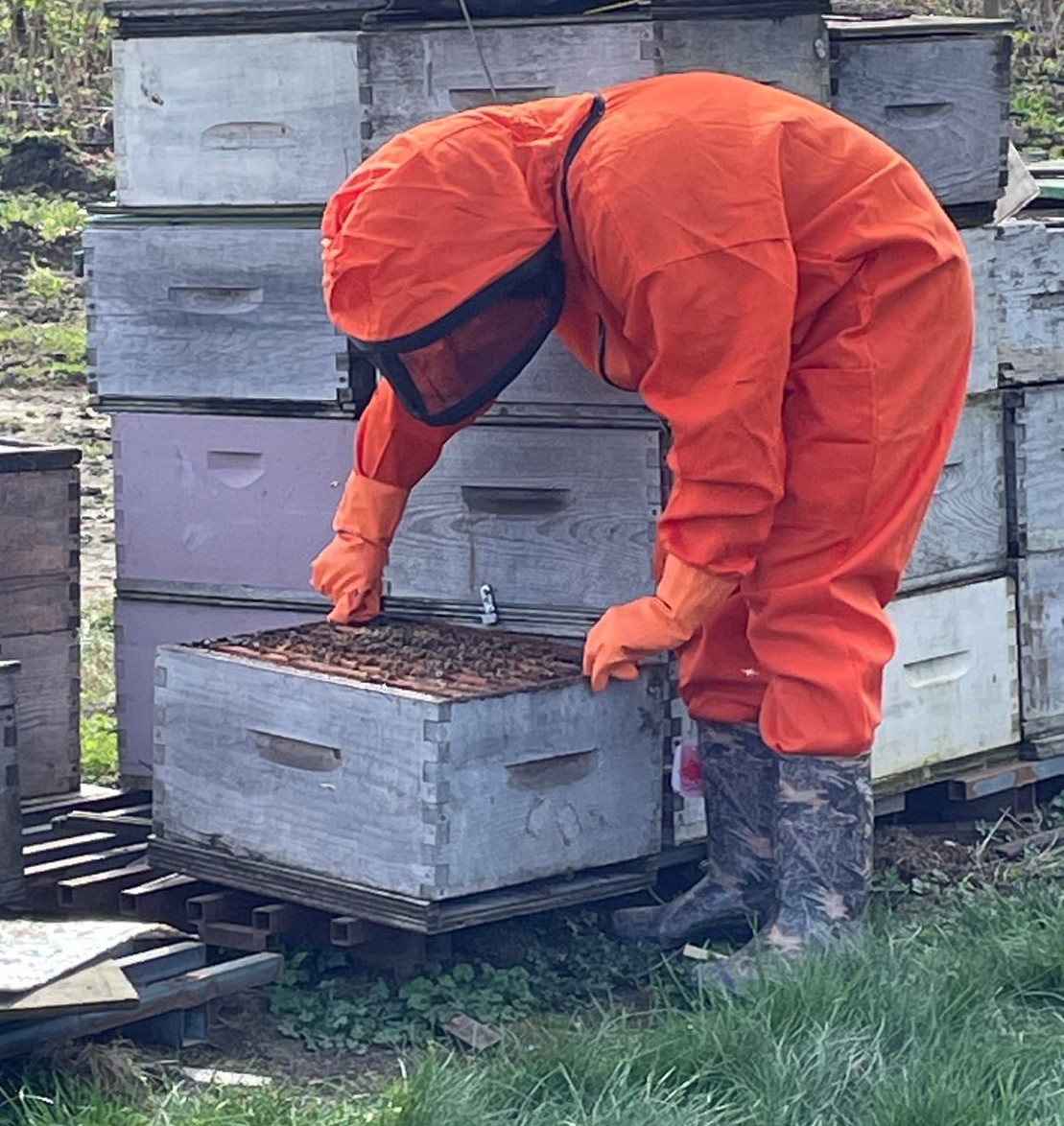 www.HoneyExpress.ca