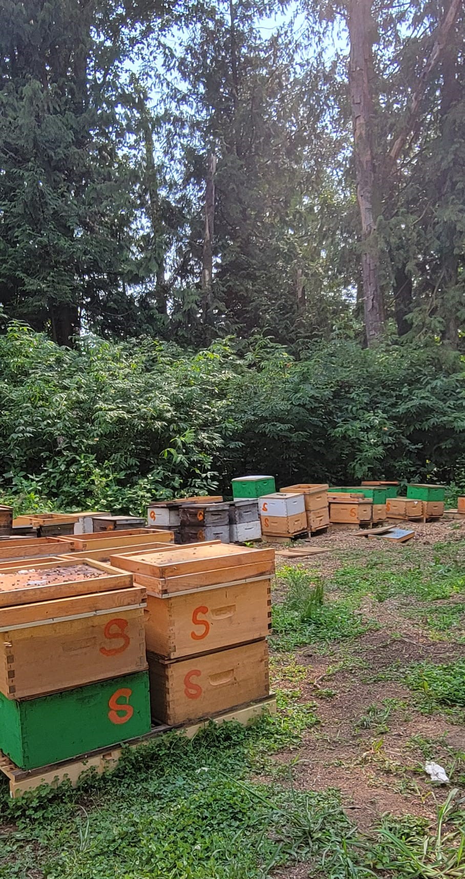 www.HoneyExpress.ca